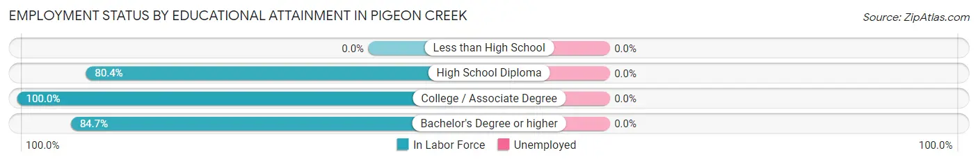 Employment Status by Educational Attainment in Pigeon Creek