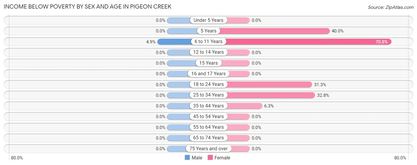 Income Below Poverty by Sex and Age in Pigeon Creek