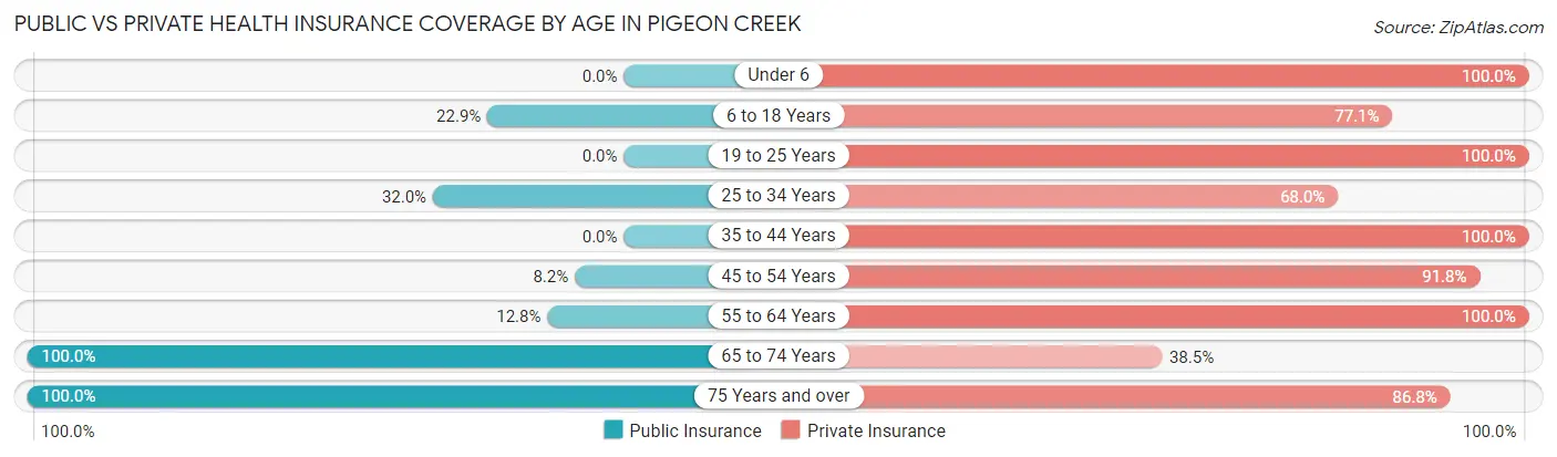 Public vs Private Health Insurance Coverage by Age in Pigeon Creek
