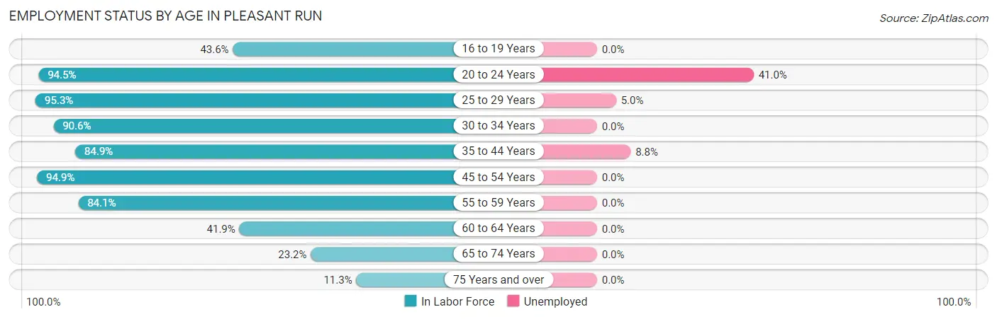 Employment Status by Age in Pleasant Run