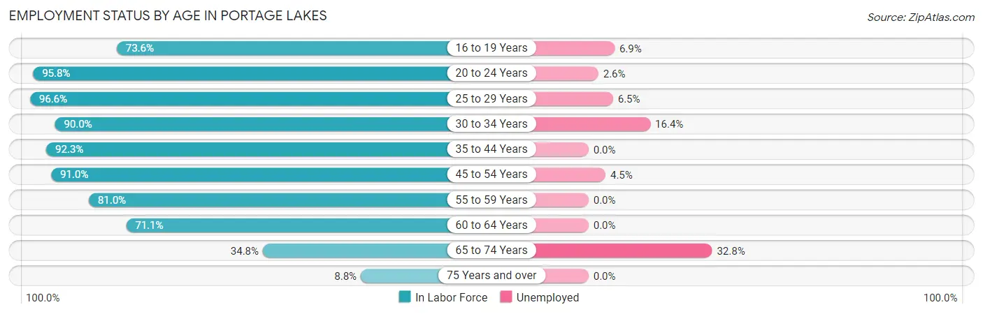 Employment Status by Age in Portage Lakes