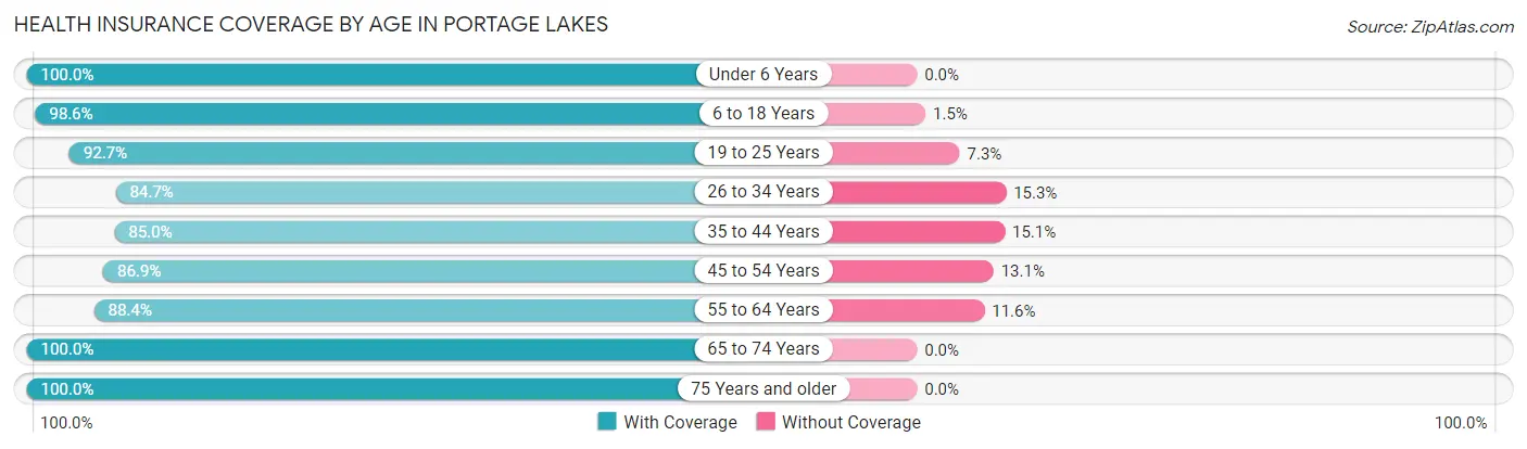 Health Insurance Coverage by Age in Portage Lakes