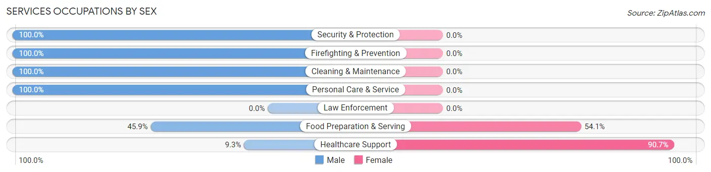 Services Occupations by Sex in Portage Lakes
