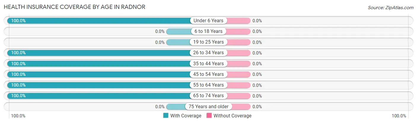 Health Insurance Coverage by Age in Radnor