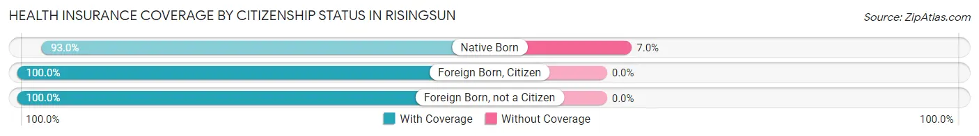 Health Insurance Coverage by Citizenship Status in Risingsun