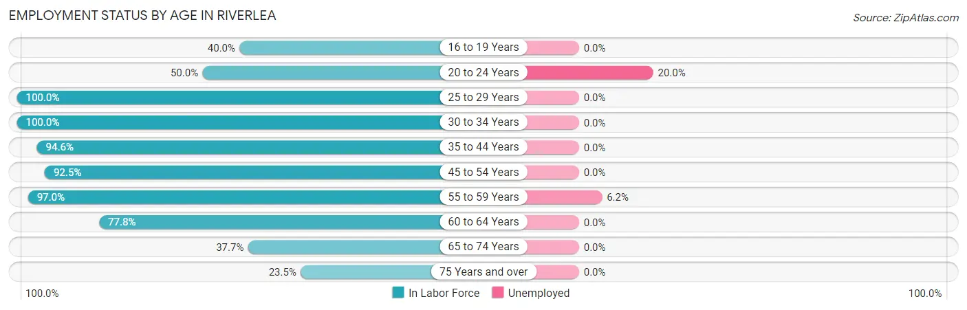 Employment Status by Age in Riverlea