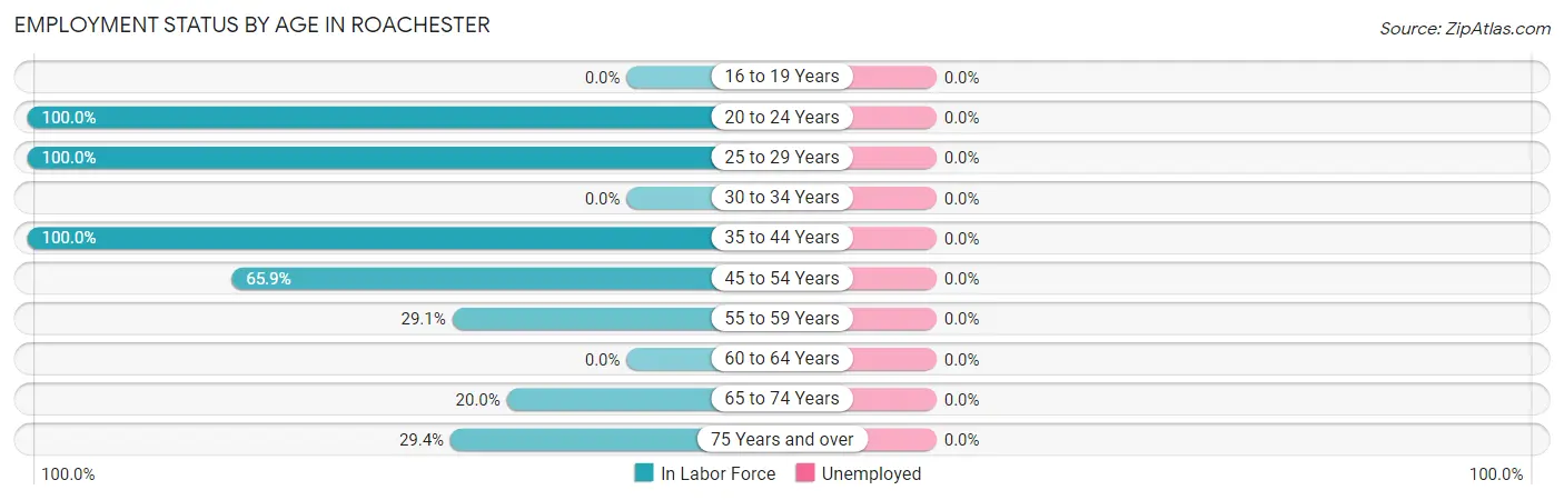 Employment Status by Age in Roachester