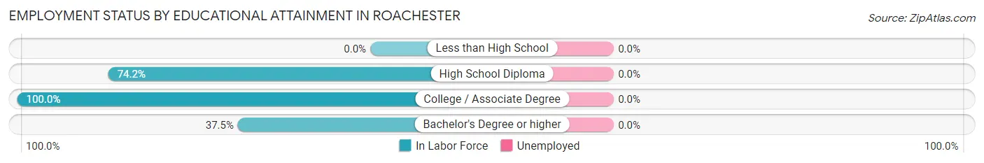 Employment Status by Educational Attainment in Roachester