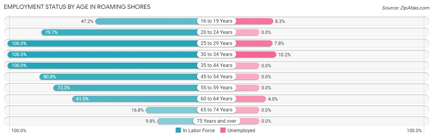 Employment Status by Age in Roaming Shores