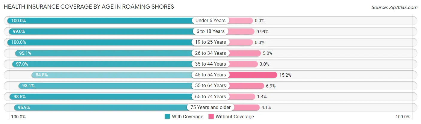 Health Insurance Coverage by Age in Roaming Shores