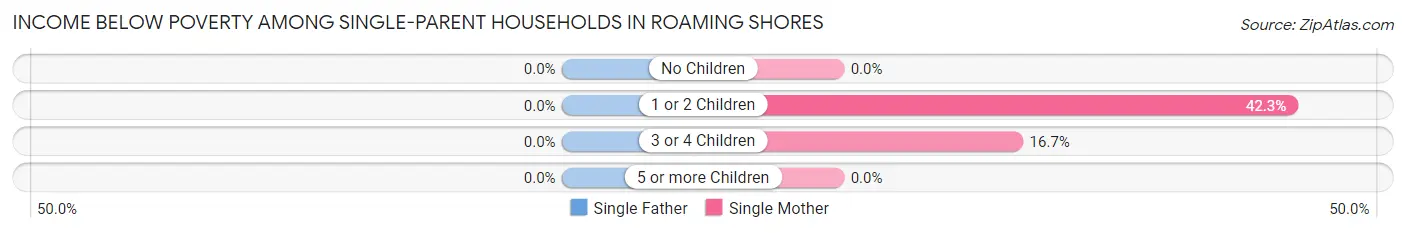 Income Below Poverty Among Single-Parent Households in Roaming Shores