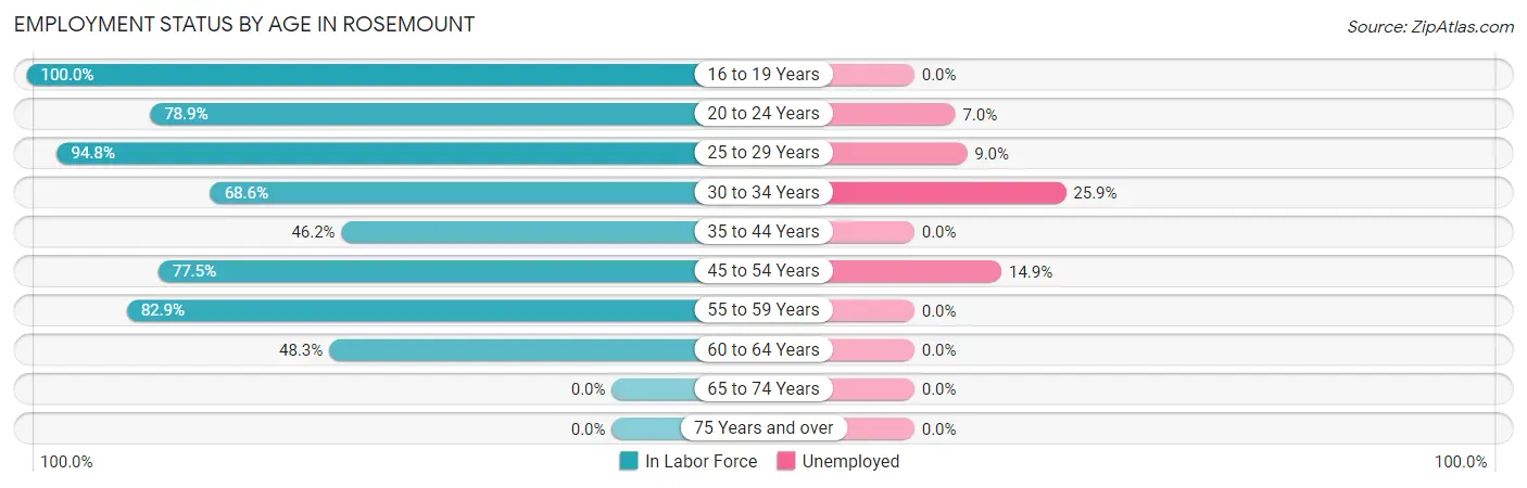Employment Status by Age in Rosemount