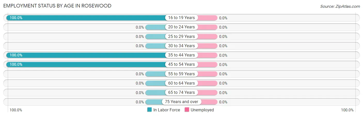 Employment Status by Age in Rosewood