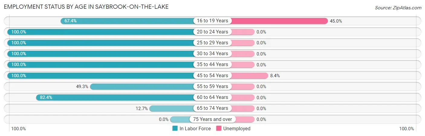 Employment Status by Age in Saybrook-on-the-Lake