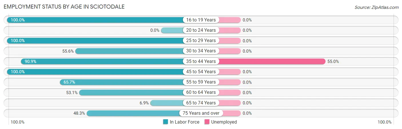 Employment Status by Age in Sciotodale