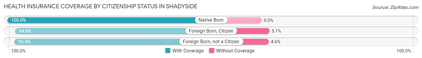 Health Insurance Coverage by Citizenship Status in Shadyside