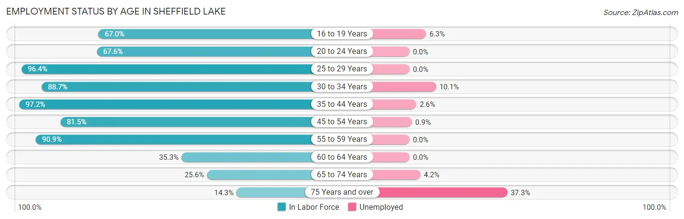 Employment Status by Age in Sheffield Lake