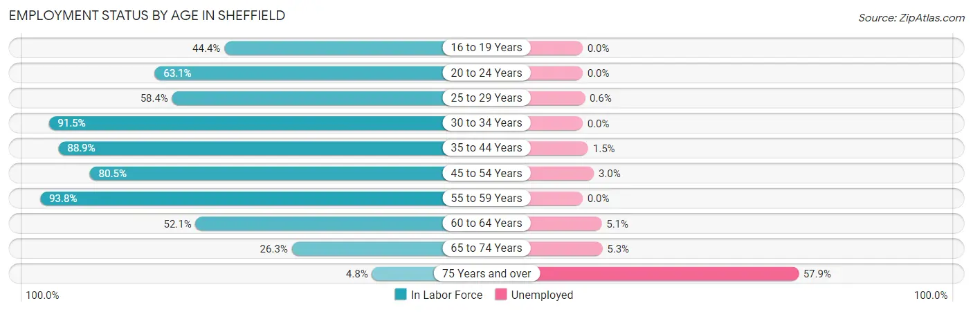 Employment Status by Age in Sheffield