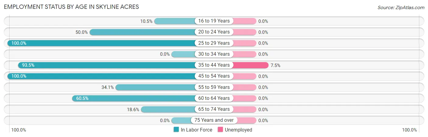 Employment Status by Age in Skyline Acres