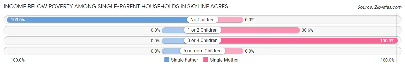 Income Below Poverty Among Single-Parent Households in Skyline Acres