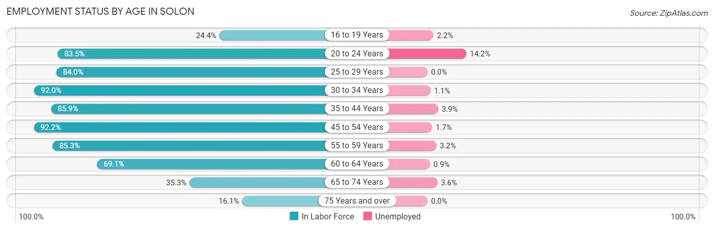 Employment Status by Age in Solon