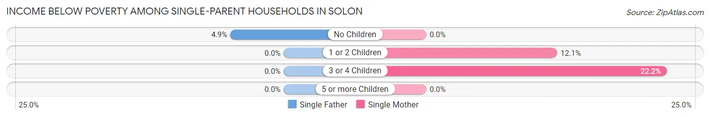 Income Below Poverty Among Single-Parent Households in Solon