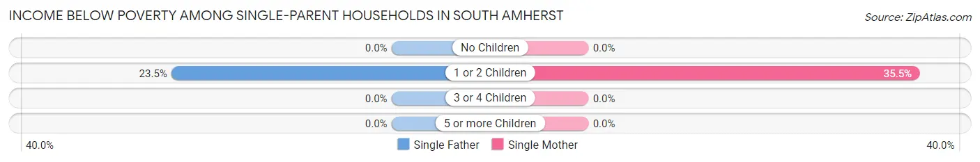 Income Below Poverty Among Single-Parent Households in South Amherst