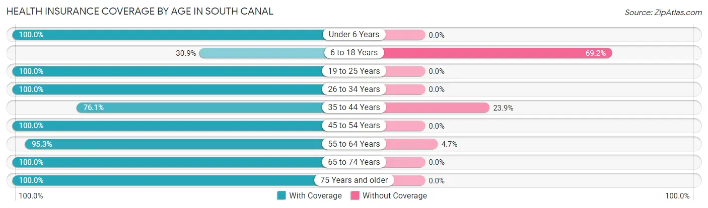 Health Insurance Coverage by Age in South Canal