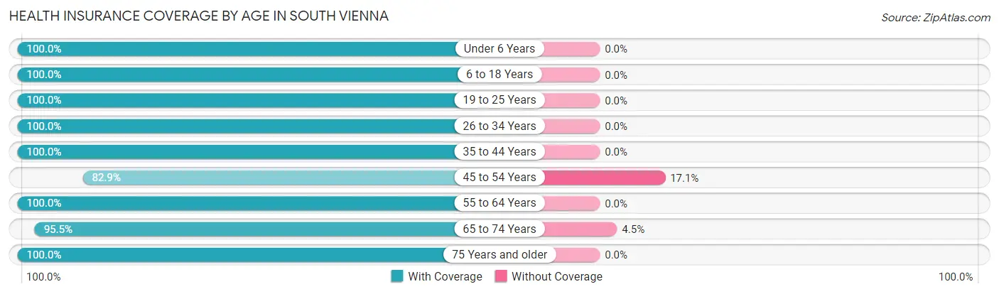 Health Insurance Coverage by Age in South Vienna