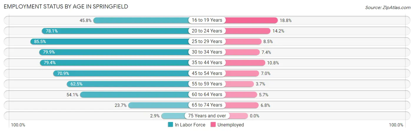 Employment Status by Age in Springfield