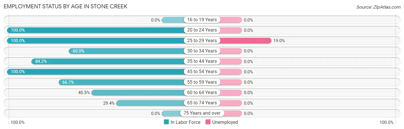 Employment Status by Age in Stone Creek