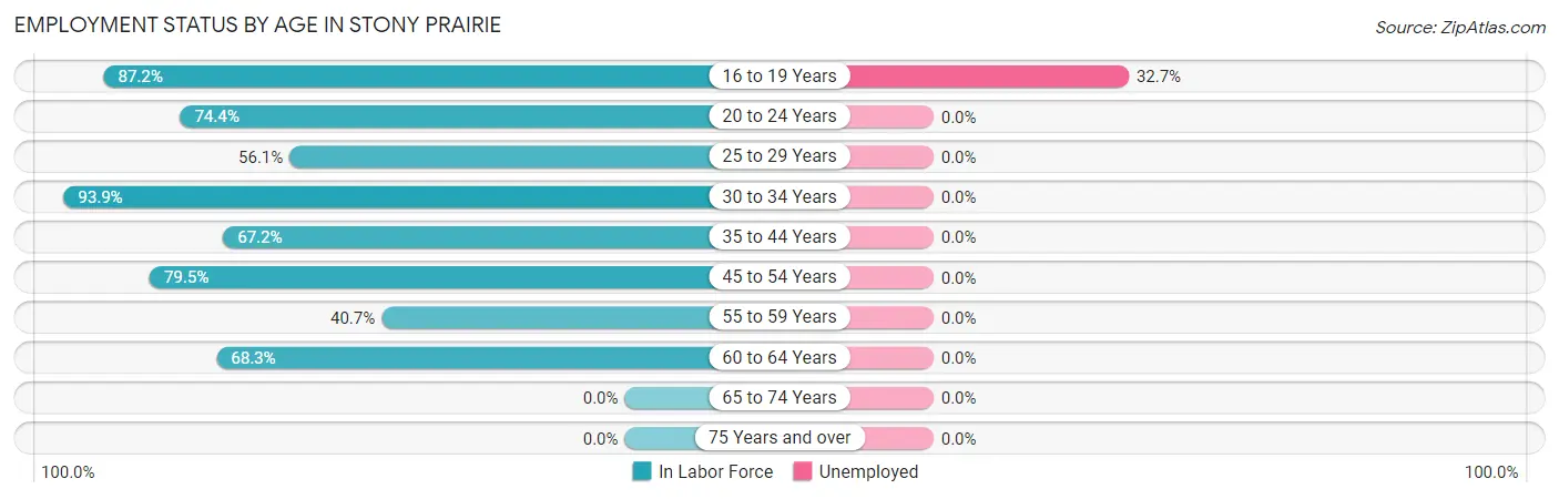 Employment Status by Age in Stony Prairie
