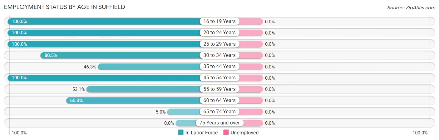 Employment Status by Age in Suffield