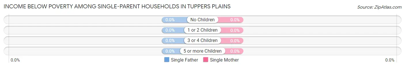 Income Below Poverty Among Single-Parent Households in Tuppers Plains