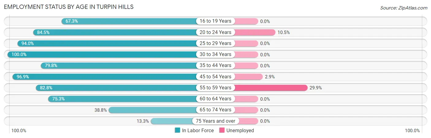 Employment Status by Age in Turpin Hills