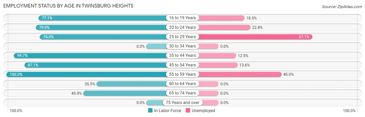 Employment Status by Age in Twinsburg Heights