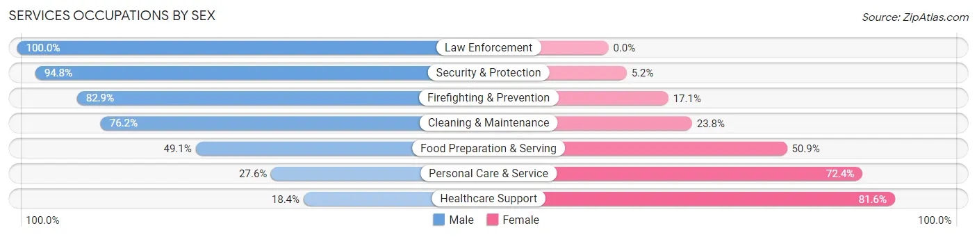 Services Occupations by Sex in Twinsburg