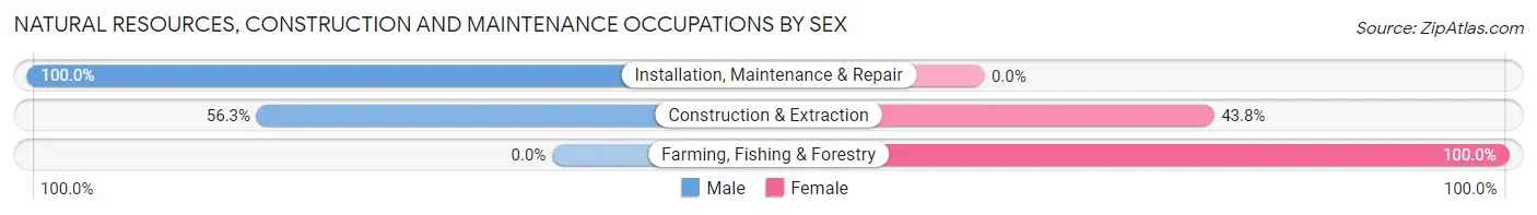 Natural Resources, Construction and Maintenance Occupations by Sex in Urbana