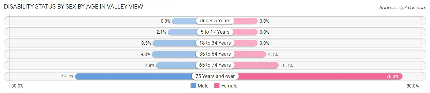 Disability Status by Sex by Age in Valley View
