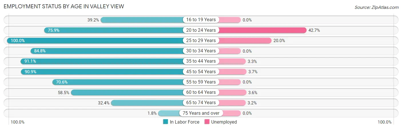 Employment Status by Age in Valley View