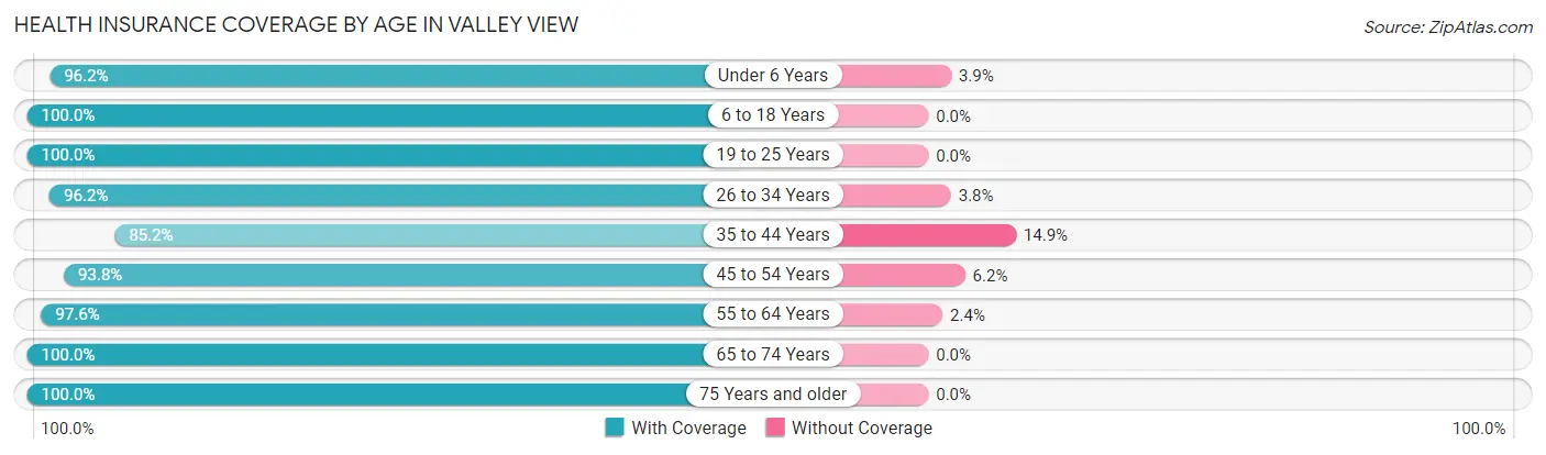 Health Insurance Coverage by Age in Valley View