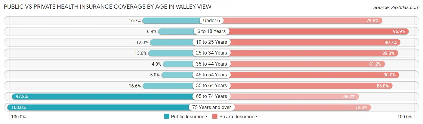 Public vs Private Health Insurance Coverage by Age in Valley View