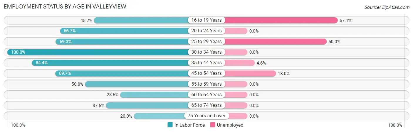 Employment Status by Age in Valleyview