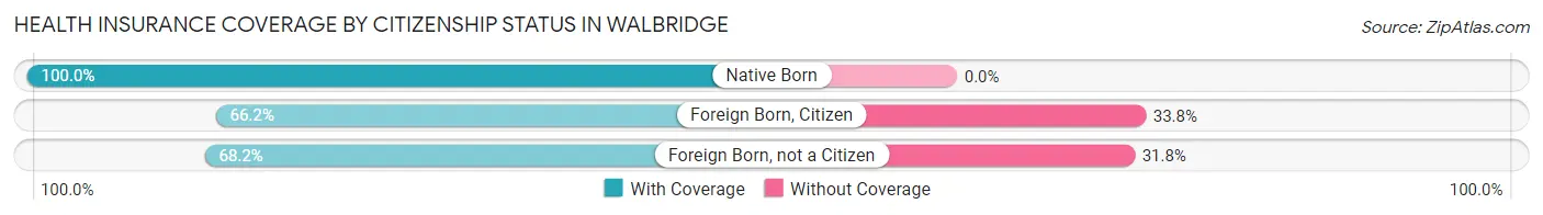 Health Insurance Coverage by Citizenship Status in Walbridge
