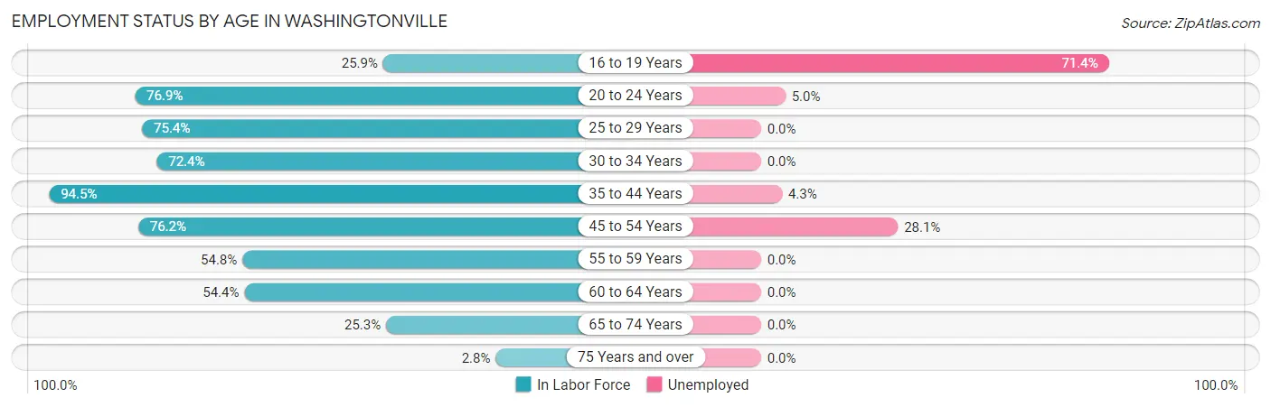 Employment Status by Age in Washingtonville
