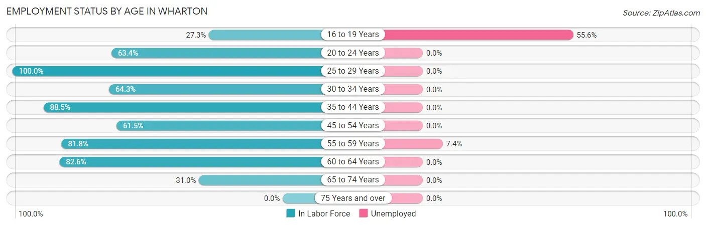 Employment Status by Age in Wharton