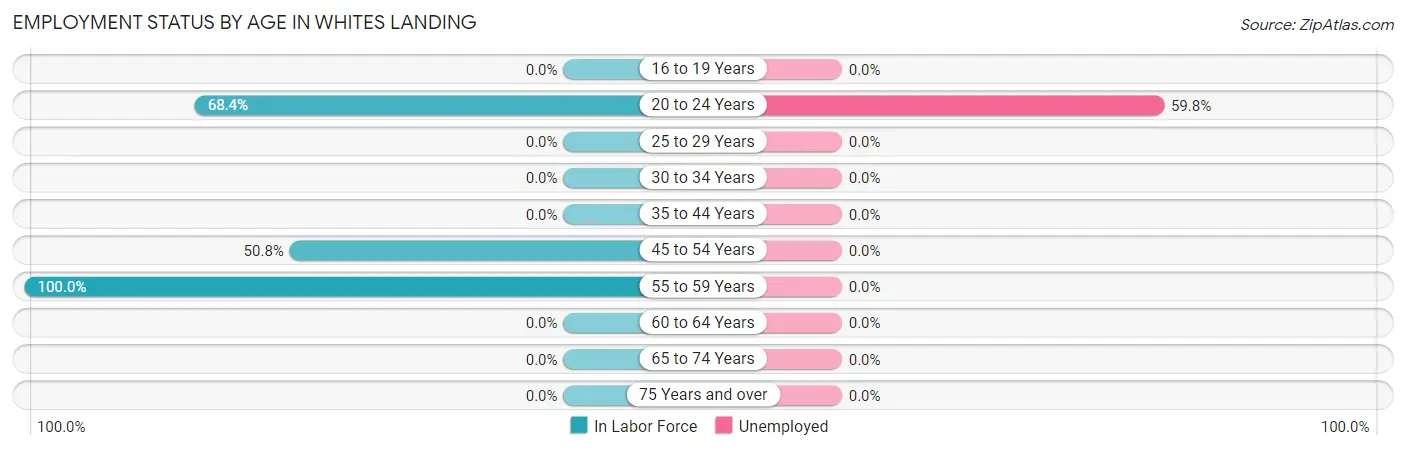 Employment Status by Age in Whites Landing