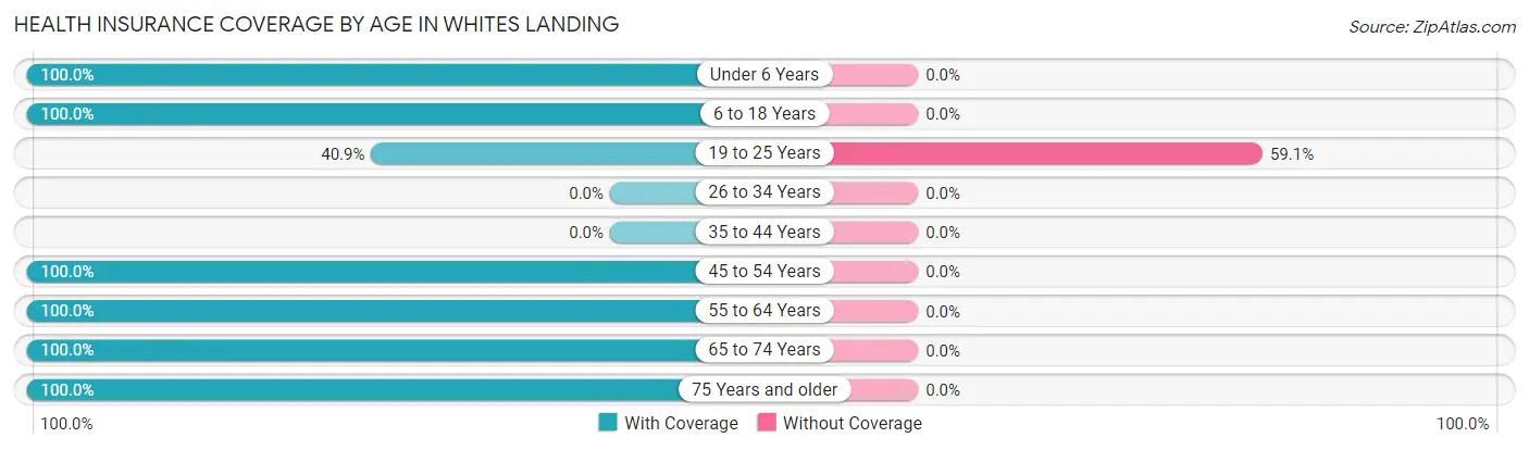 Health Insurance Coverage by Age in Whites Landing