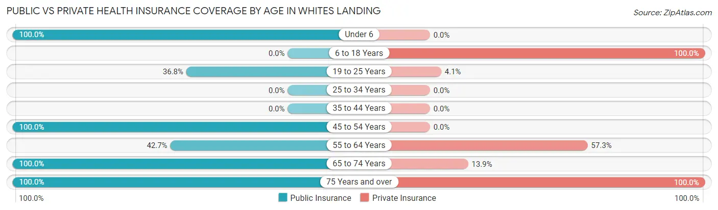 Public vs Private Health Insurance Coverage by Age in Whites Landing
