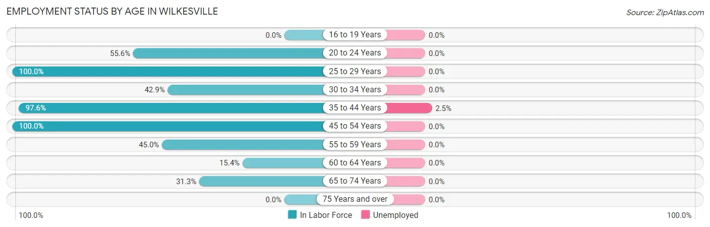 Employment Status by Age in Wilkesville